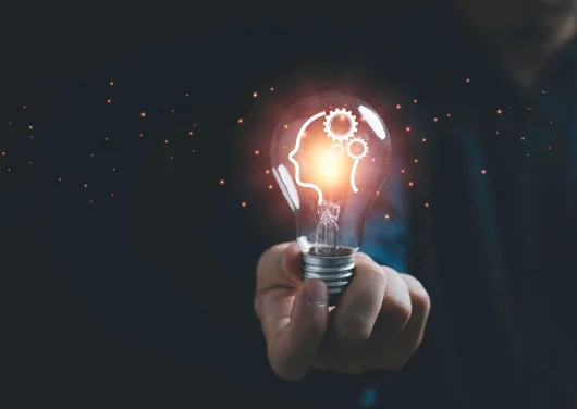 continuous-innovation